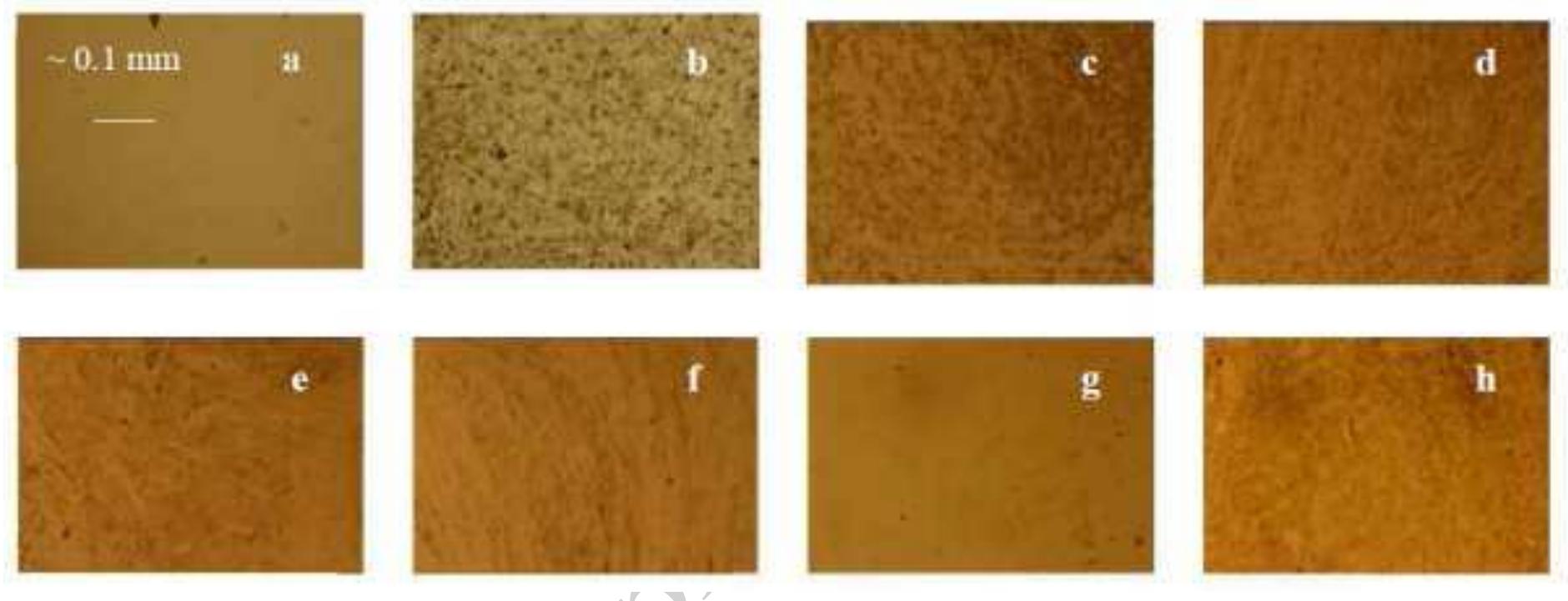 Atr-ftir spectra of the plasticized pvc surface before