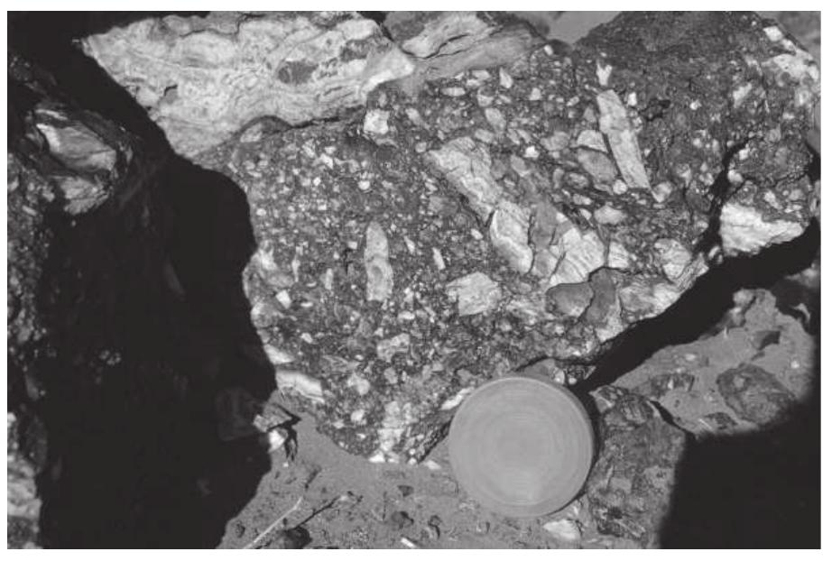 Figure 3 - from New discovery of epithermal gold at Chahnali