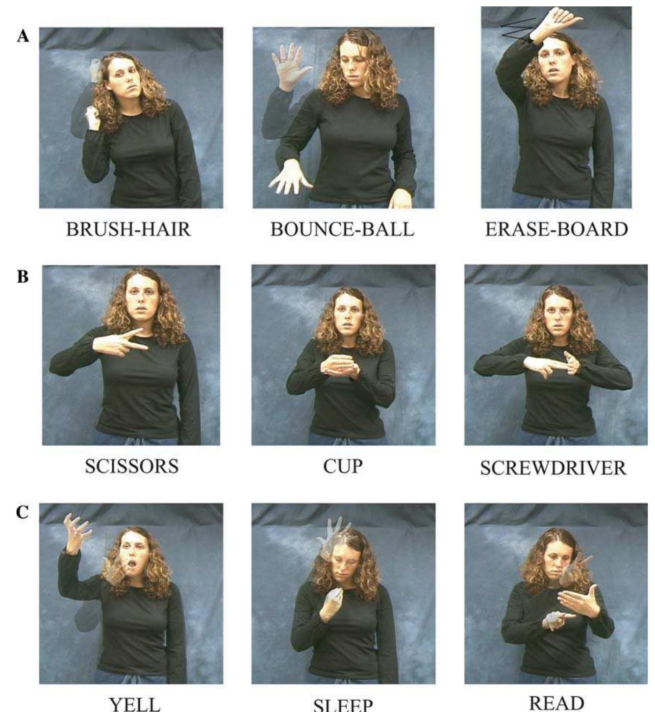 Asl Sign For Discuss Motor-iconicity of sign language does not alter the neural systems ...