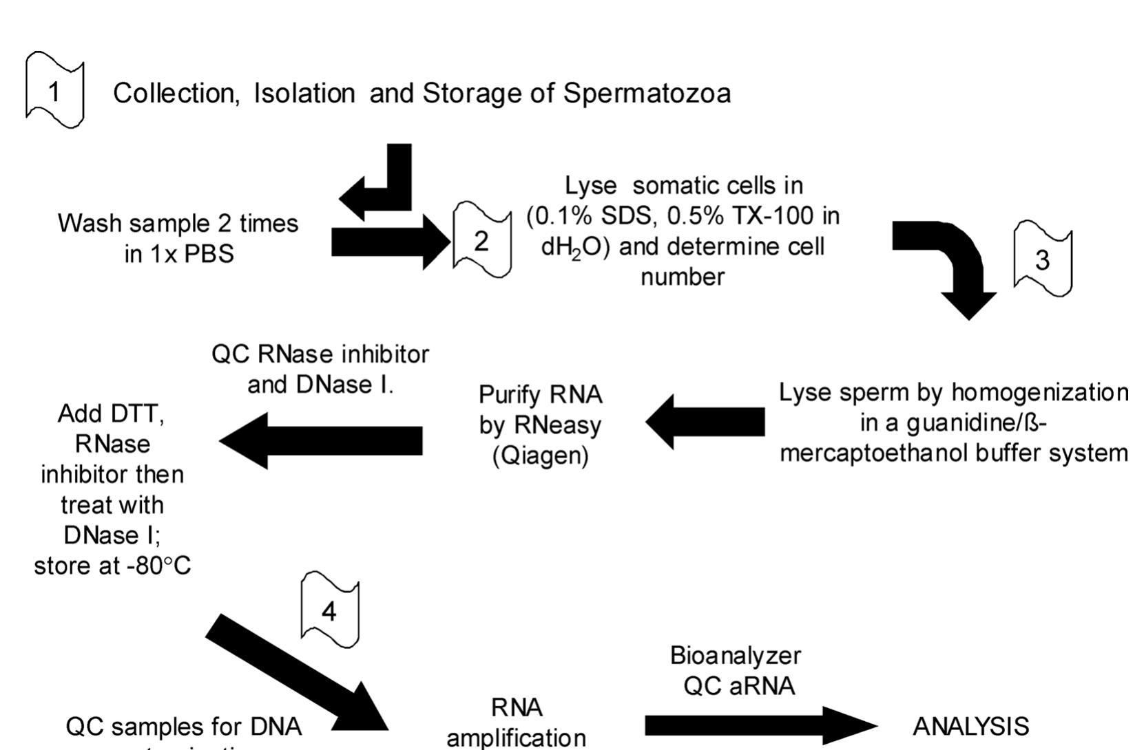 Figure 1 - from Applications Notes: Protocol The Preparation