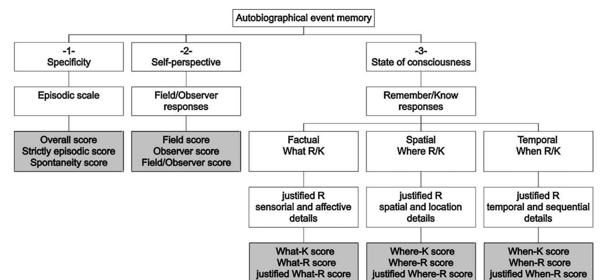 Figure 1 - from Episodic autobiographical memories over the