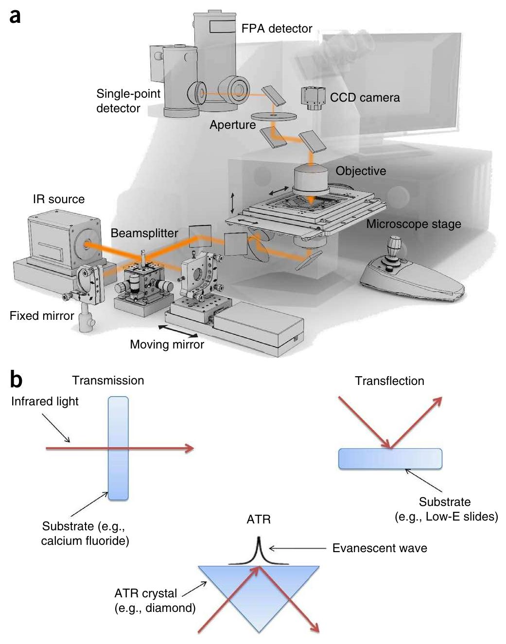 (PDF) Using Fourier transform IR spectroscopy to analyze biological ...