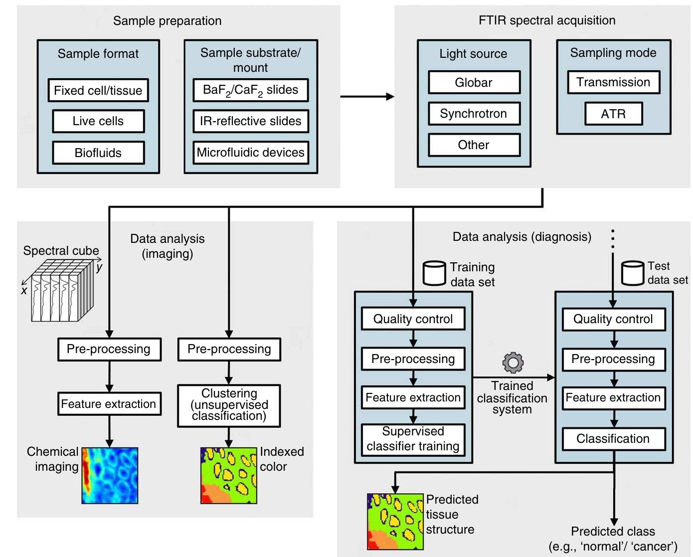Figure 3 - Using Fourier transform IR spectroscopy to