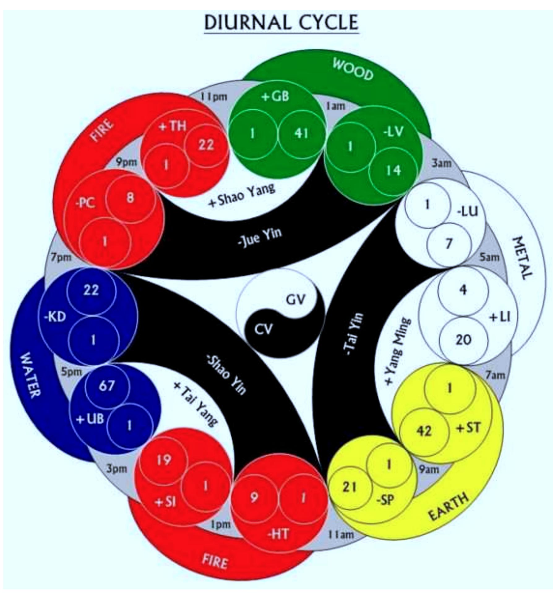 (PDF) Krennie Tran Nguyen Five Element Acupuncture Theory and Clinical ...