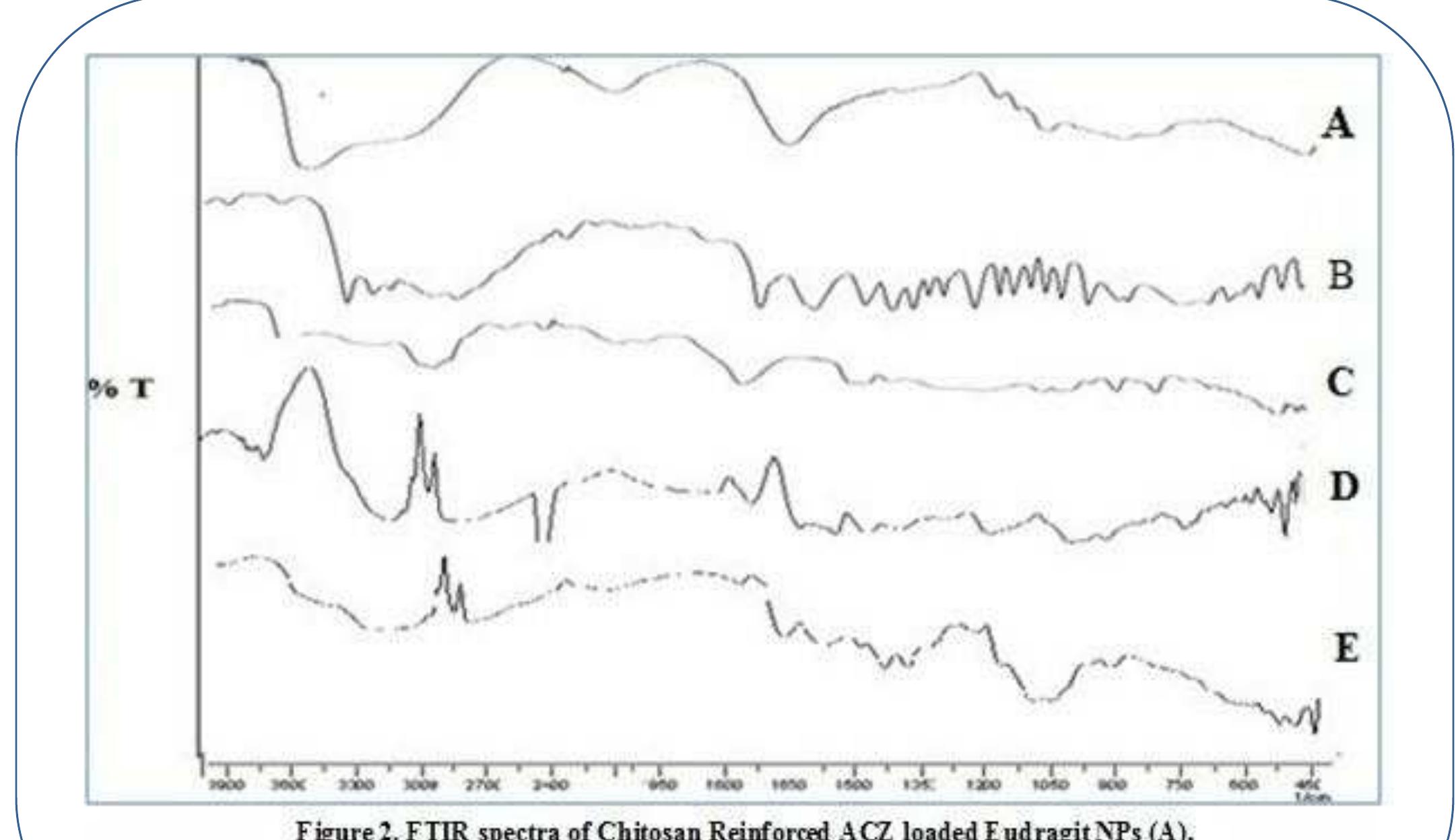 (PDF) Development In Vitro and Biological Evaluation of Chitosan ...