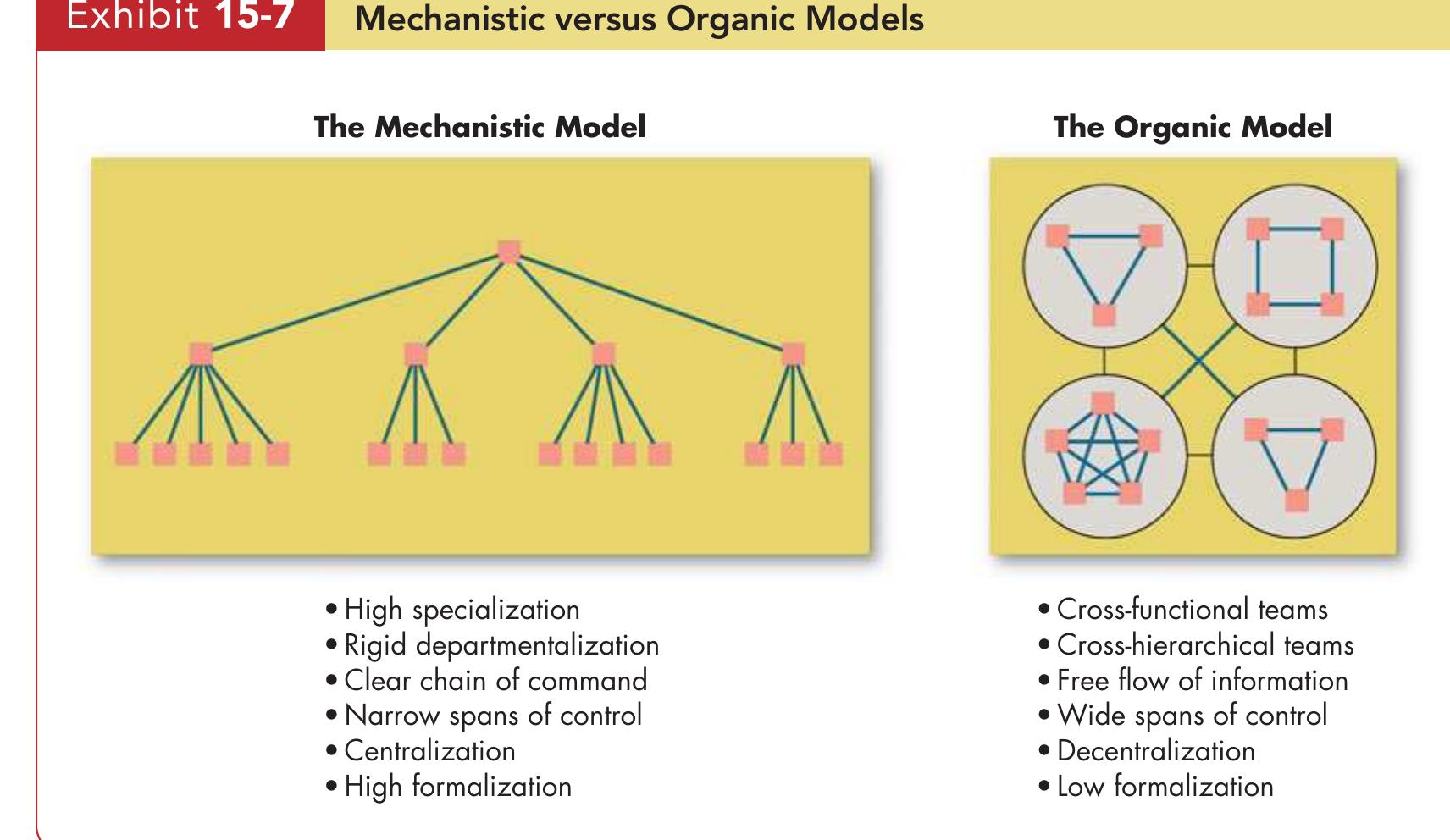 Foundation Structure Traditional Organizational Structure Design Team