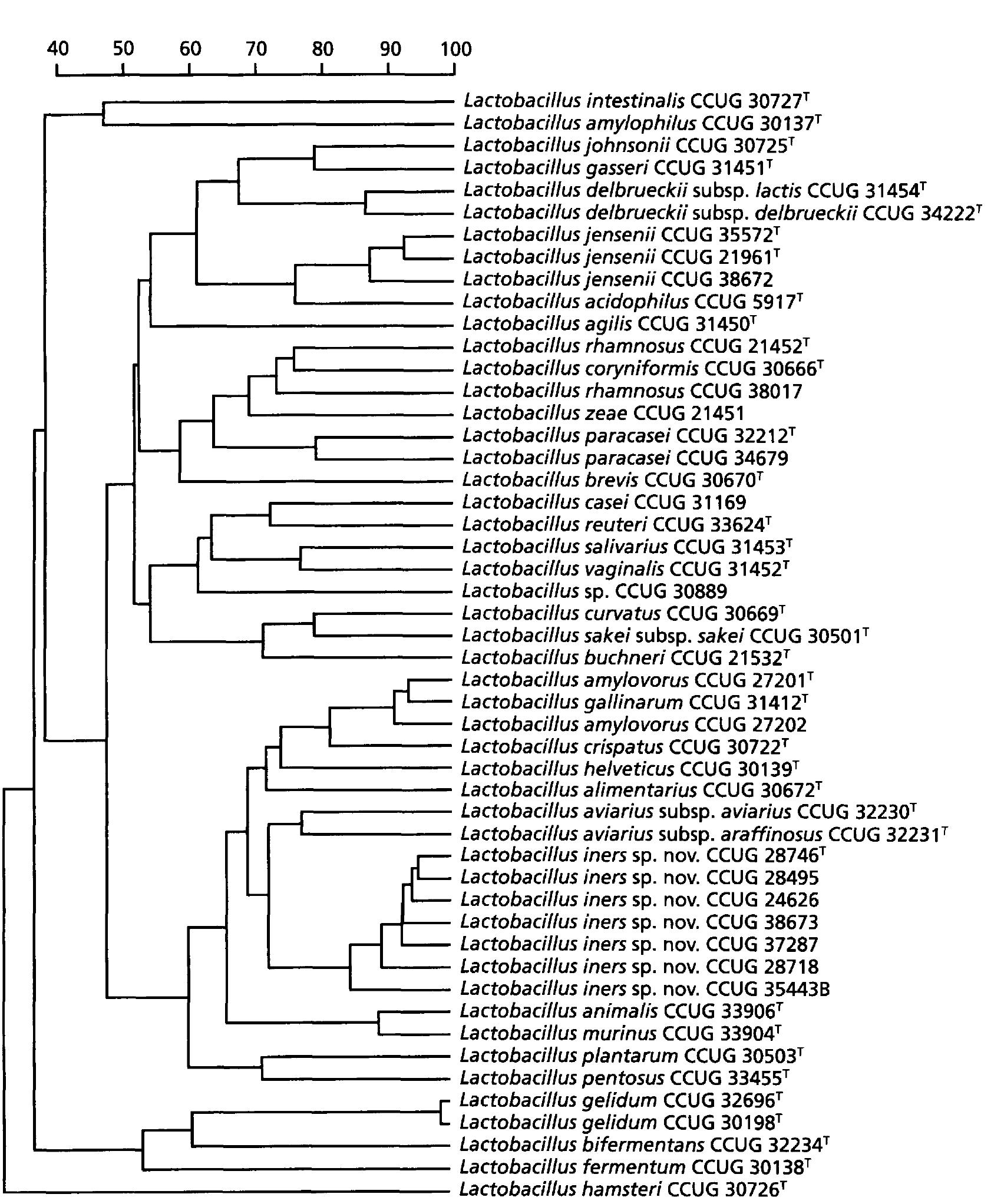 (PDF) Phenotypic and phylogenetic characterization of a novel ...