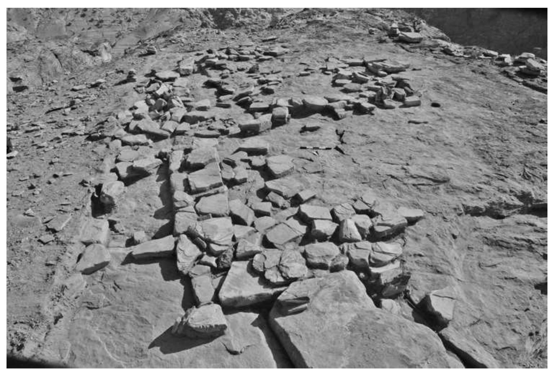 Fig. 5. The remains of structure 10 on the far southwestern edge of Umm al-Biyara looking to the south (photo S. G. Schmid).  This fact is confirmed in the historical sources. Diodorus Siculus, describing the events of 311/312 BC, mentions that the Nabataeans positioned watchtowers throughout the entire landscape, and that they communicated with each other by means of fire signals (Diod. 19, 96, 3. 97, 1). In order to research this presumed defense system of the Nabataeans further, the IUBP set out, in 2011, to gain more archaeological insights into the nature of structure 10. 