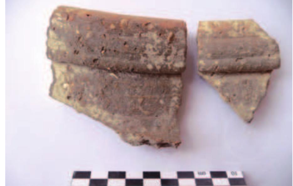 Fig. 10. Iron Age rim sherds found within structure 10 (photo W. Kennedy).  Fig.9. Dominant pottery types within structure 10. Top: Elc7; middle: Elc8; bottom: E2b48 (drawings W. Kennedy). 