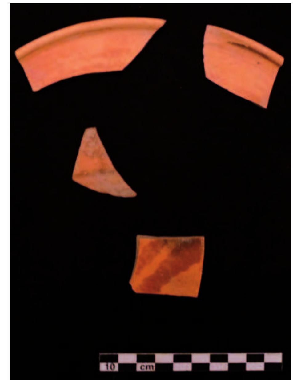 Fig.11. Phase | pottery found within structure 10 (photo W. Kennedy). 