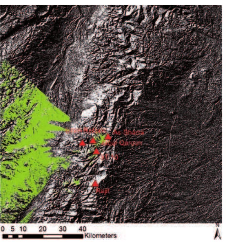 Fig. 19. Visibility field from the as-Shara tower with a structure height of 4 m (W. Kennedy). 