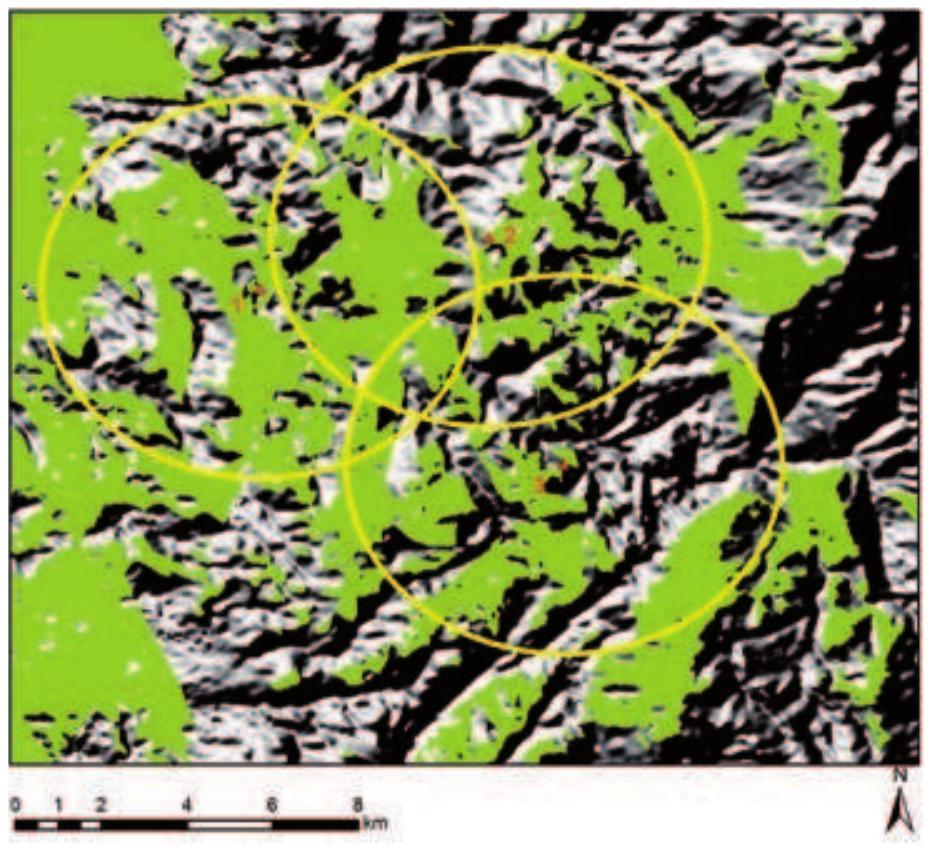 Fig. 23. Visibility fields of Qasr Umm Rattam (1), Jabal Qaroun (2) and structure 10 on Umm al-Biyara (3) with the maximum middle-distance radii of 4400 m (W. Kennedy). 