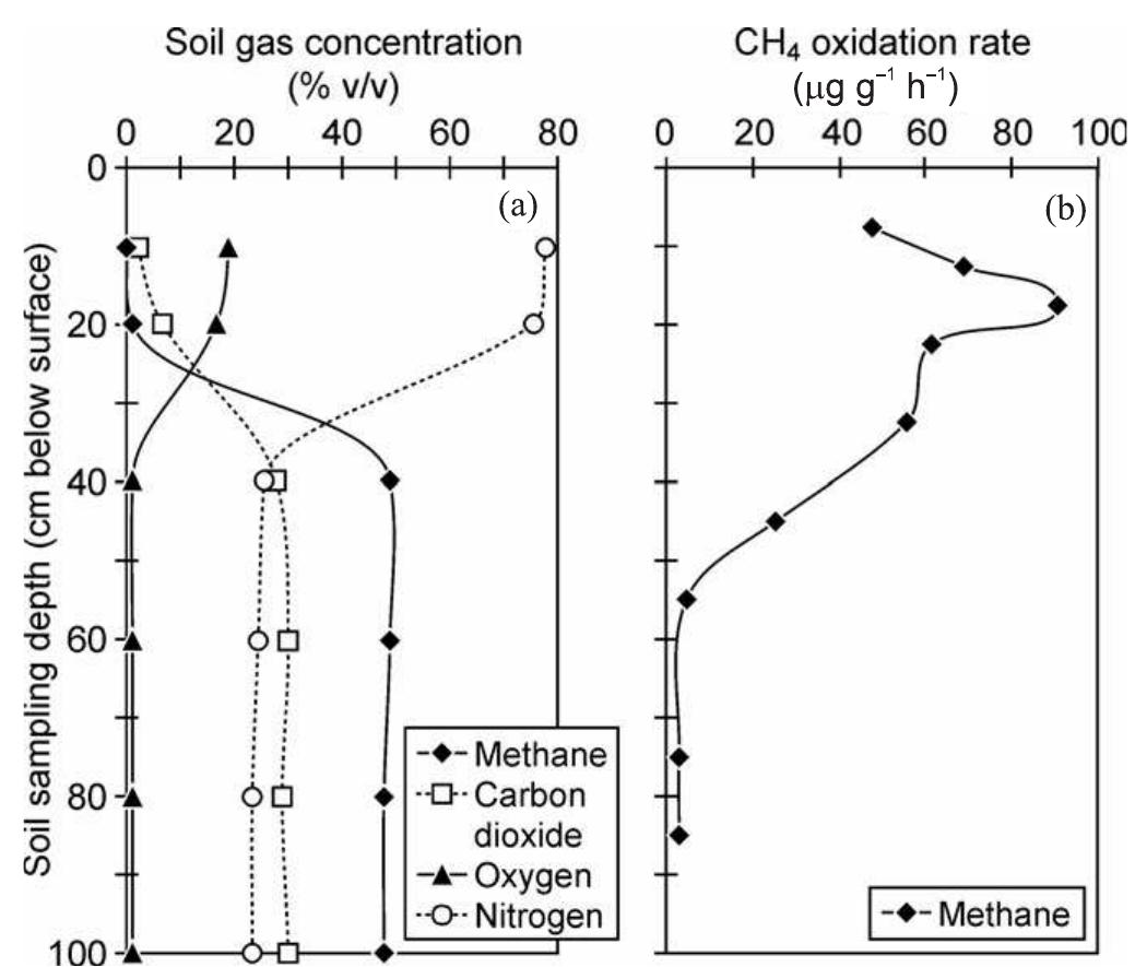 (PDF) Microbial methane oxidation processes and technologies for ...