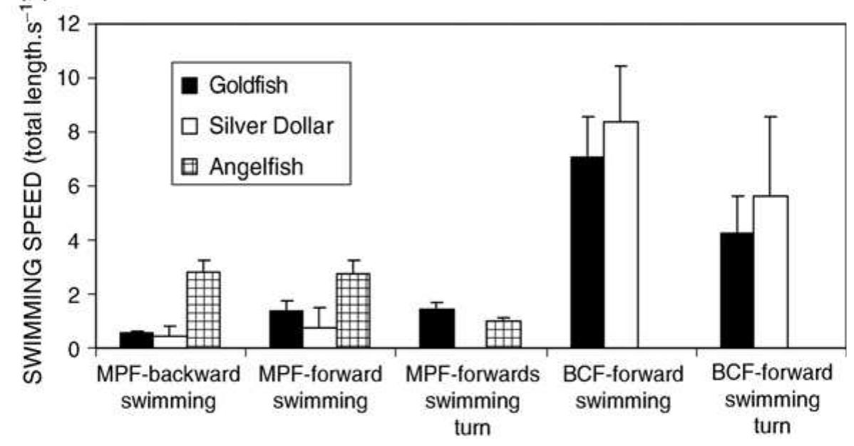 8. examples of maximum maneuver rates for median and paired