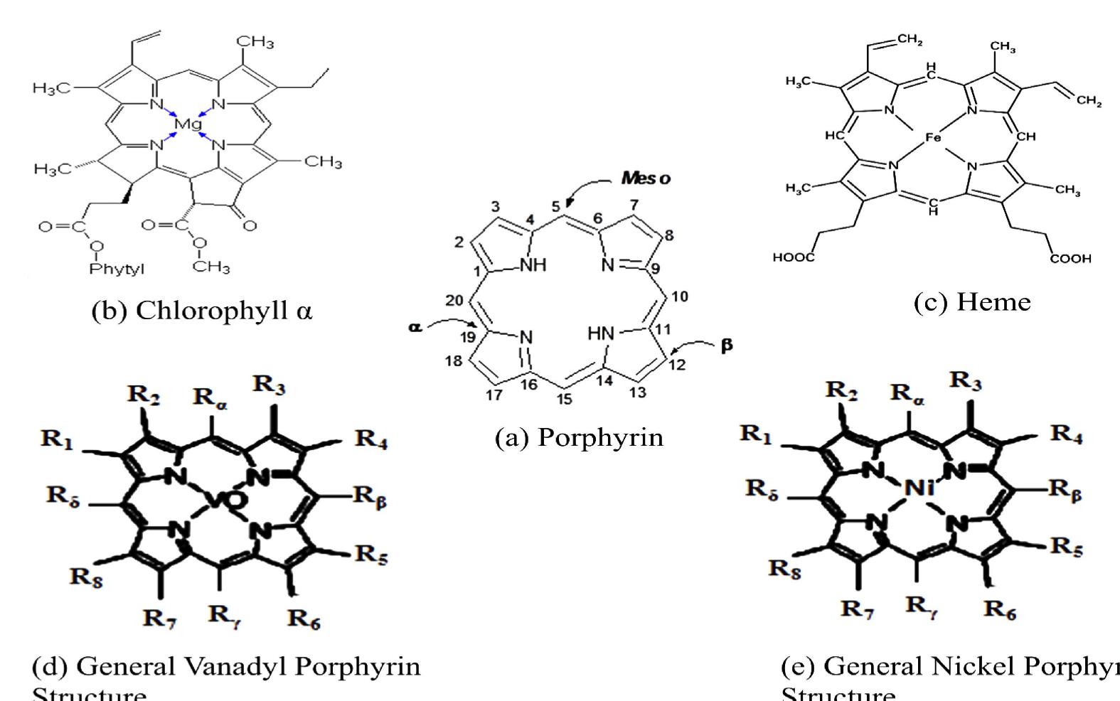 Structure of porphyrins, biological precursors (heme and
