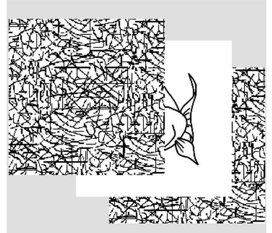 Shown here is the forward and backward masking sequence used
