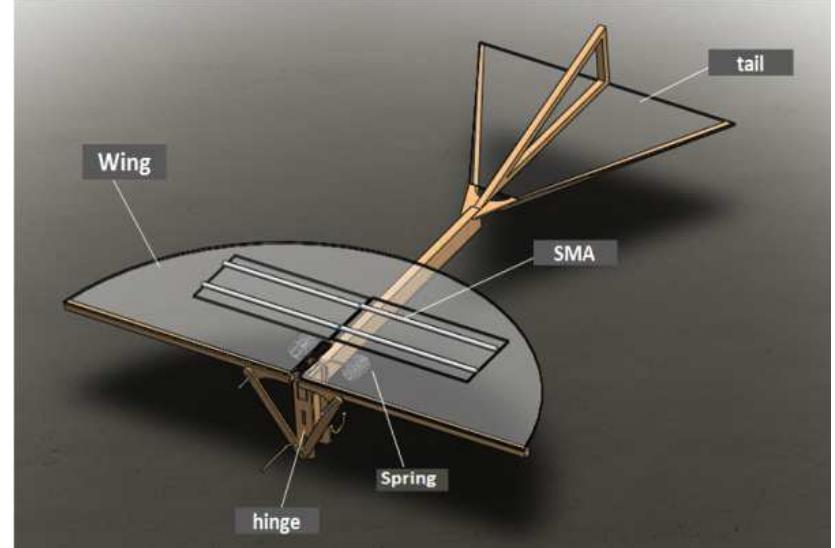 Figure 3 - from Conceptual Design of Flapping Wing using