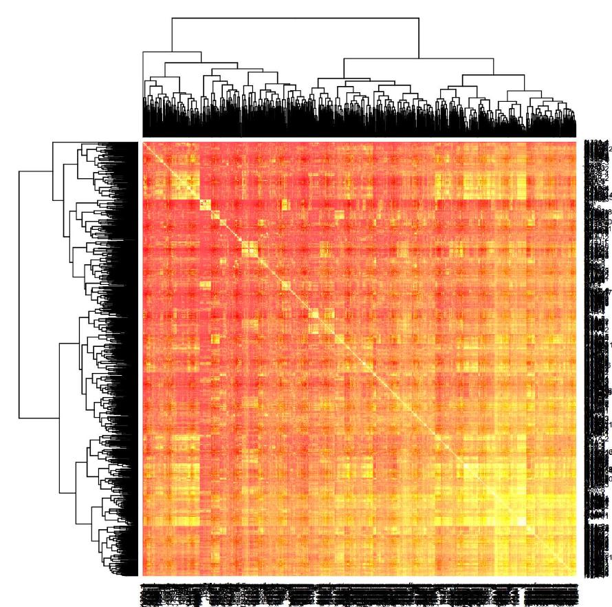 We decided to try and identify major clusters of associa- tion between WALS and PHOIBLE. Using a weighted co- sine similarity, we identify levels of high association be- tween clusters of features in WALS chapters and PHOIBLE phonological inventory data. These are visualized as heat maps in Figures 8, @ and Z™ The point of these figures is mainly to illustrate the possible observation of clusters. The detailed extraction of linguistically sensible clusters and their interpretation will have to wait for another paper. We will here only comment on a few possible interpreta- tions.   Figure 5: Heat map for all characteristics with frequency more than 10 (~1000 characteristics) 