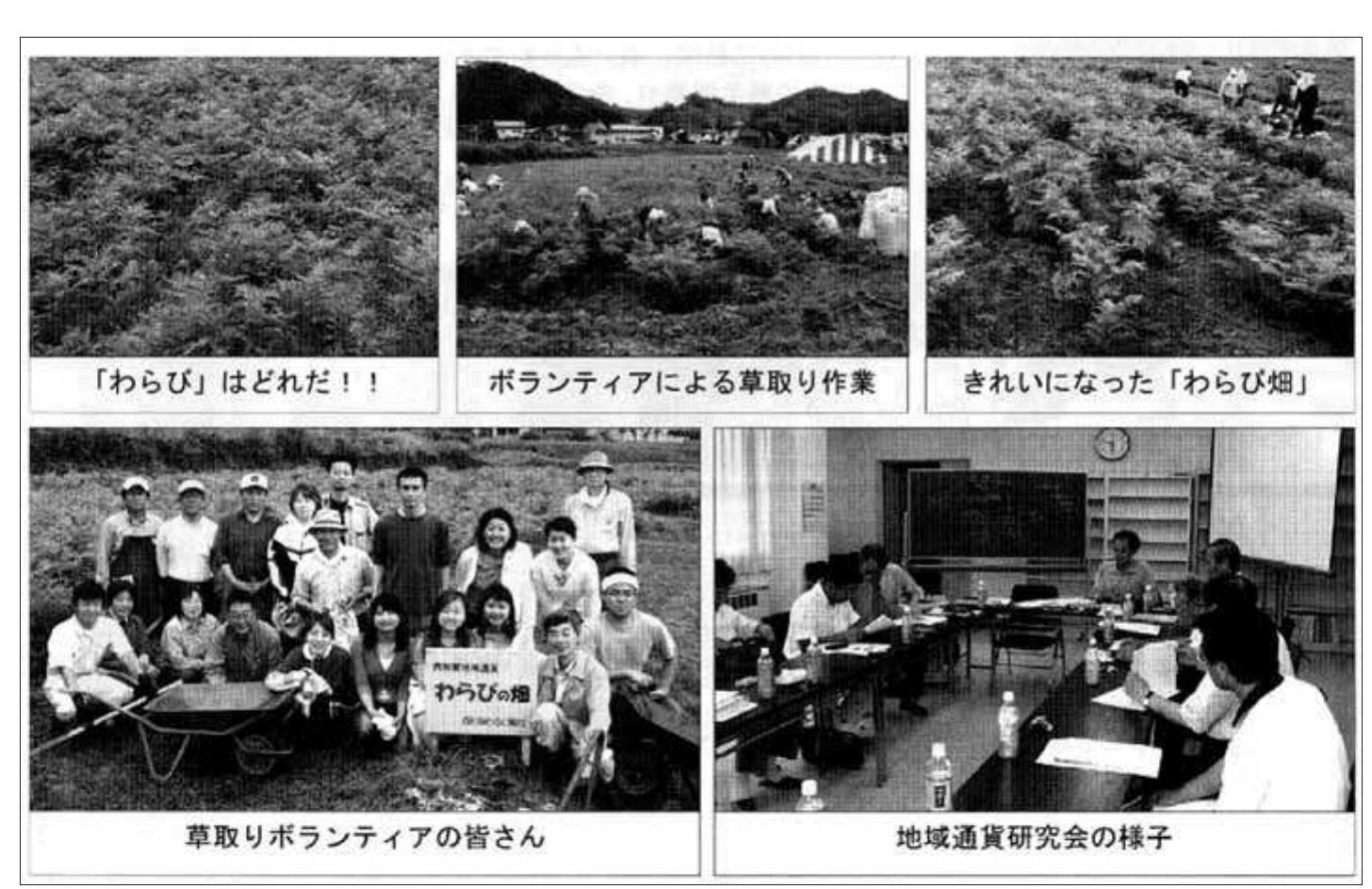 Fig. 3. Volunteer-anthropologists from Tokyo. Graduate students weed a tourist bracken field and study revitalization projects in Nishiwaga. Photos published in Yume méru, the monthly newsletter of Yuda’s Chamber of Commerce, as evidence of the town’s success in increasing “interchange” and local vitality. (Source: Yuda-cho sh6kdkai 2005) 