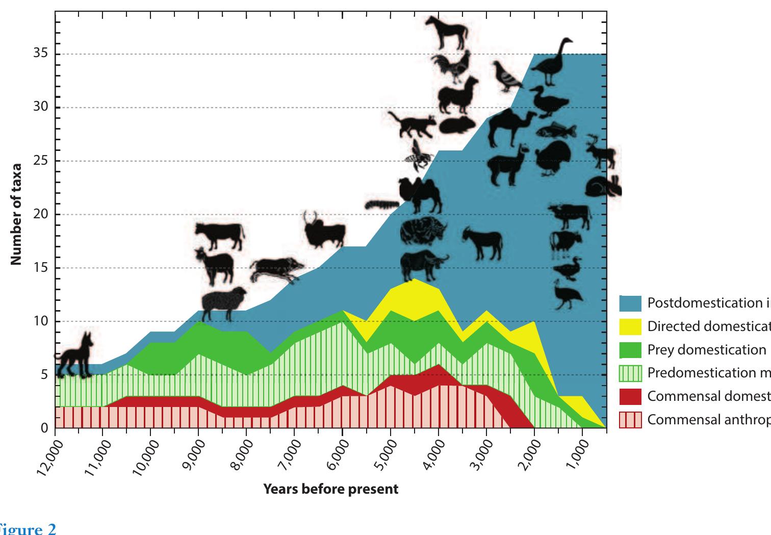 (PDF) The Evolution of Animal Domestication