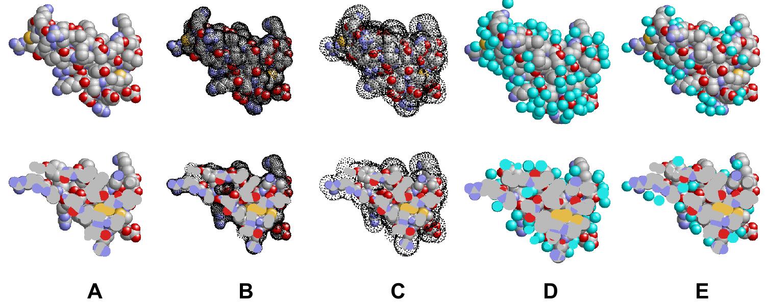 dan　Byer Roll Top Camp Table PDF) PROTEIN STRUCTURE Edited by Eshel Faraggi Protein