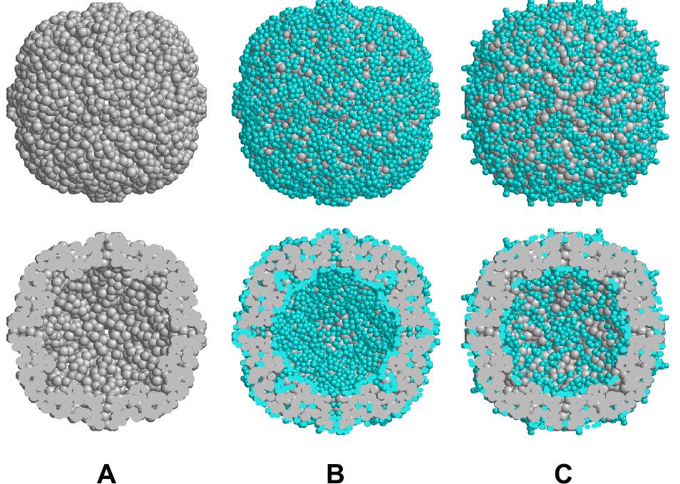 PDF) PROTEIN STRUCTURE Edited by Eshel Faraggi Protein