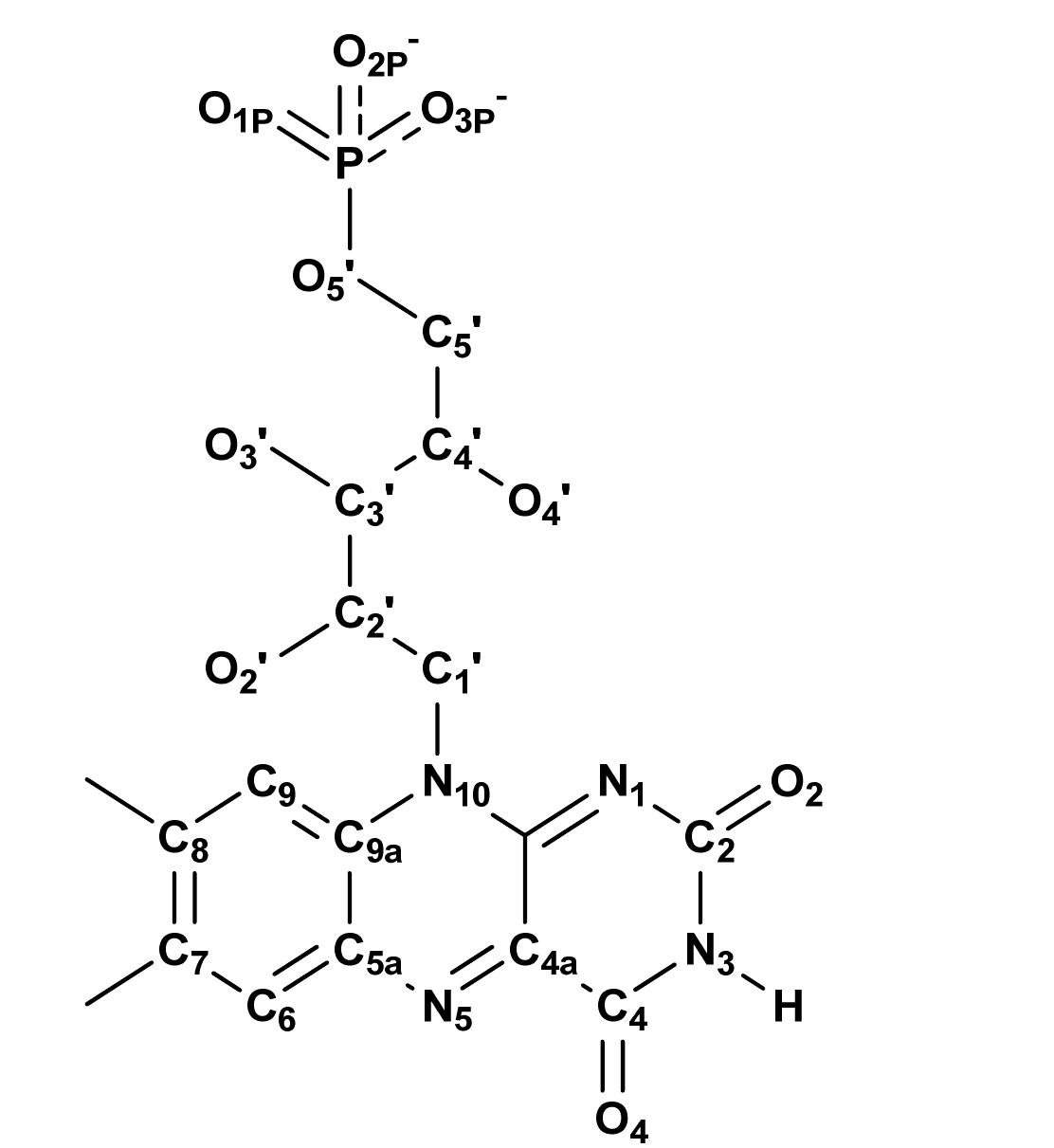 PDF) PROTEIN STRUCTURE Edited by Eshel Faraggi Protein
