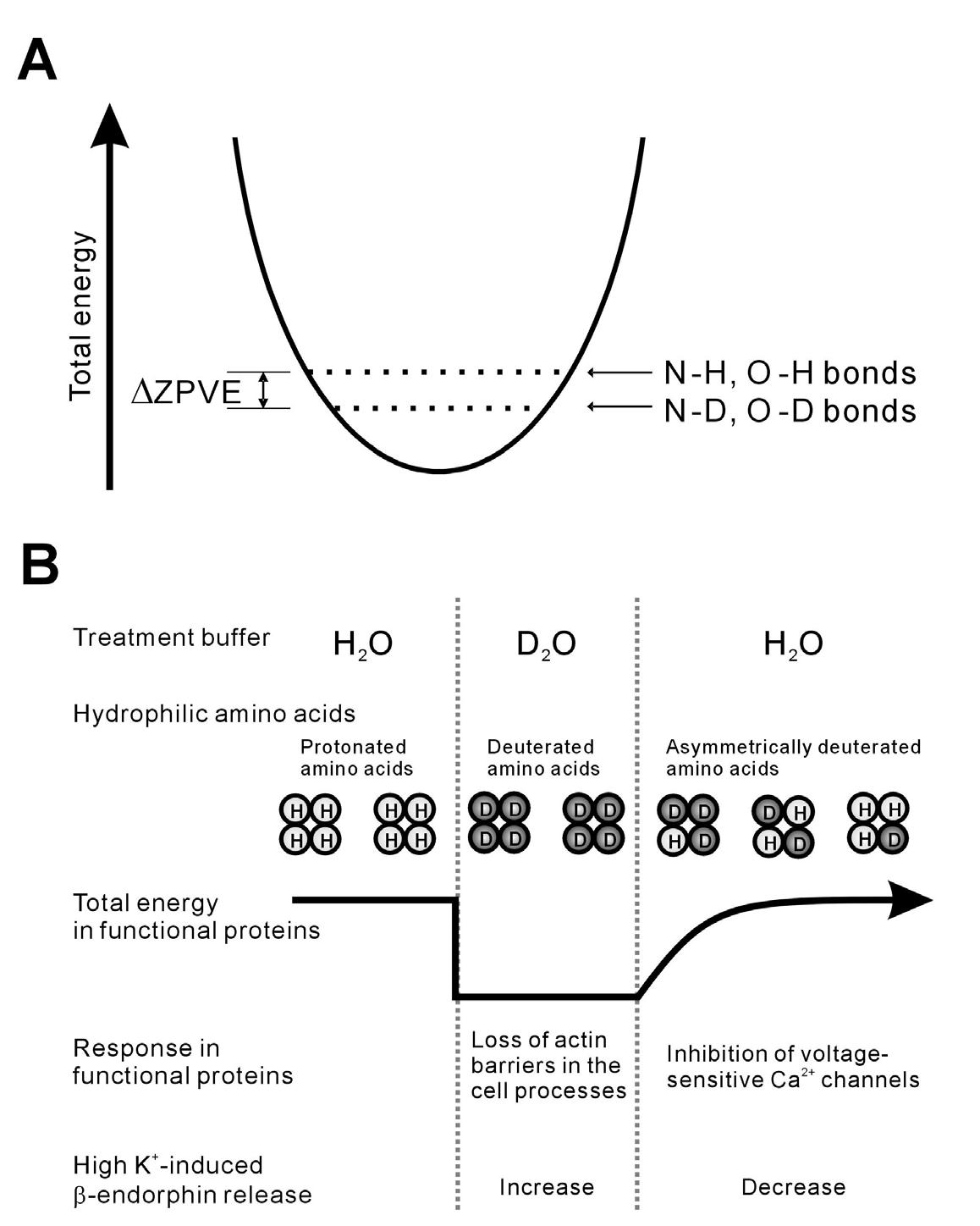 Schematic illustration of changes in the zero-point