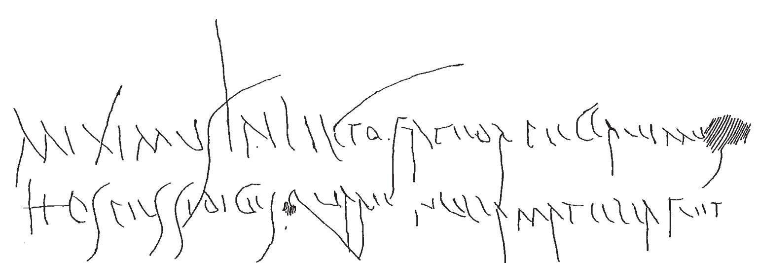 AMICE further strengthens Board membership for comprehensive representation  across diverse countries and members - International Cooperative and Mutual  Insurance Federation, image size:1539x533