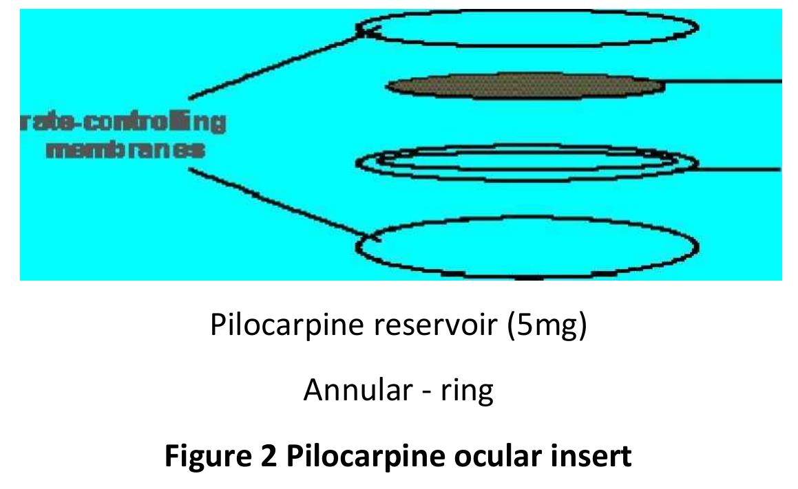 Figure 2 - from OCULAR INSERTS AS CONTROLLED DRUG DELIVERY