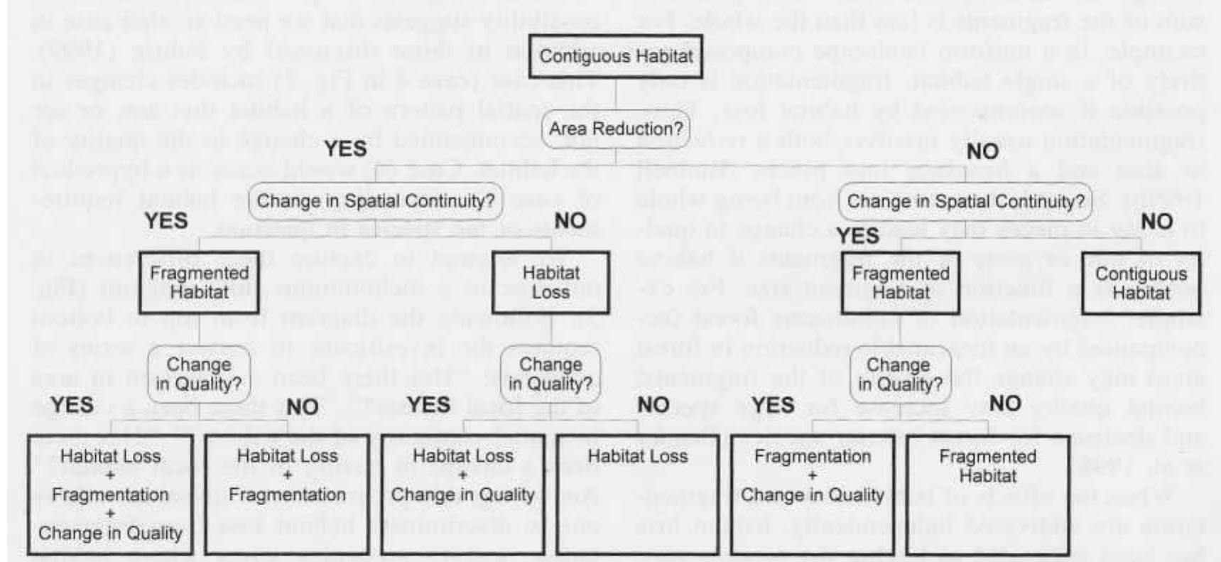 Figure 3 - from WHAT IS HABITAT FRAGMENTATION