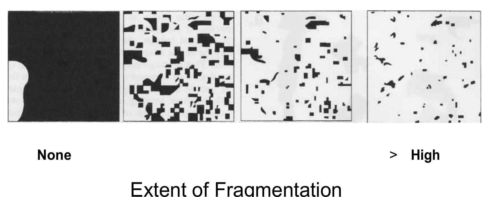 Figure 7 - from WHAT IS HABITAT FRAGMENTATION