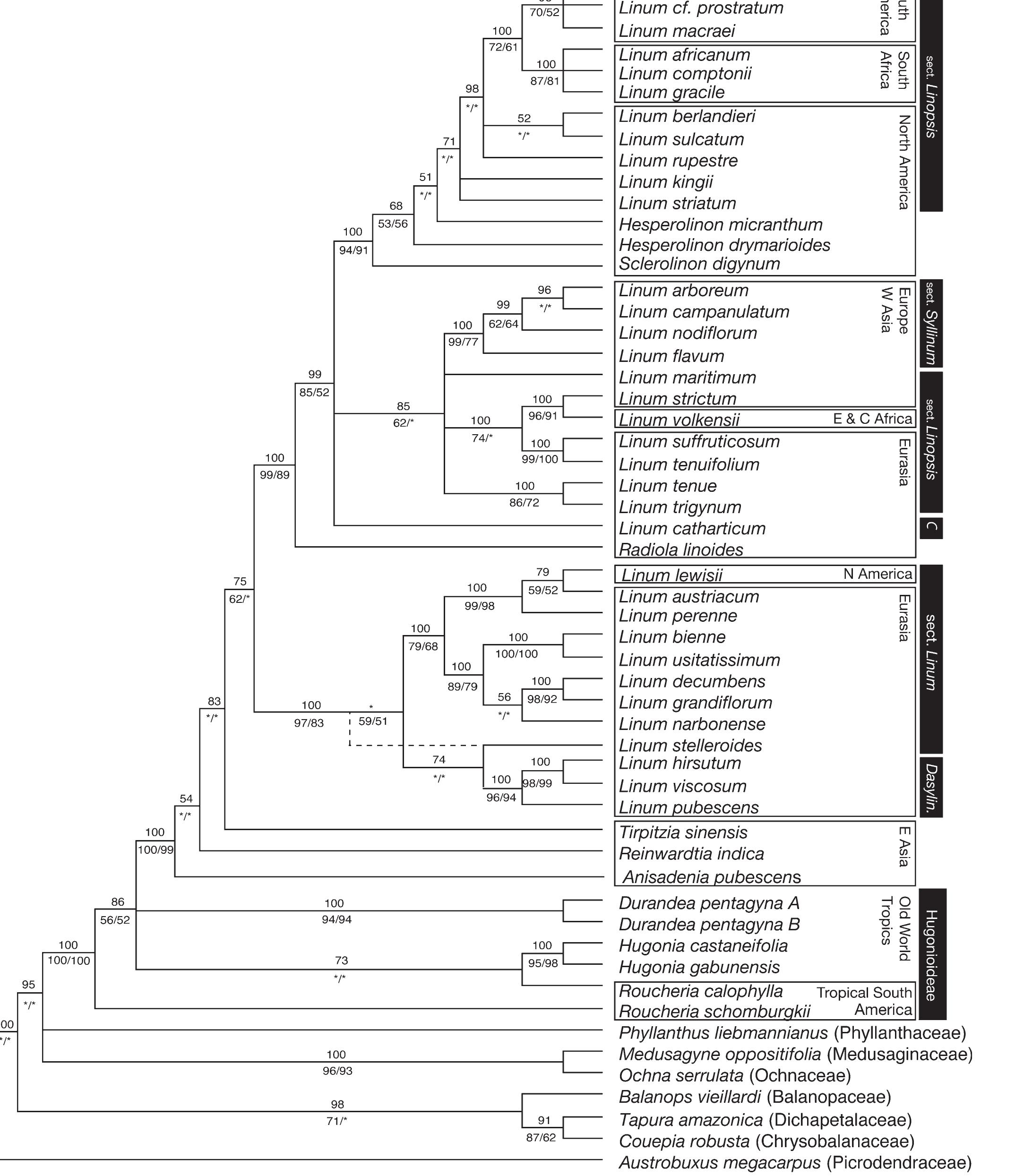 (PDF) The Phylogeny of Linum and Linaceae Subfamily Linoideae, with ...