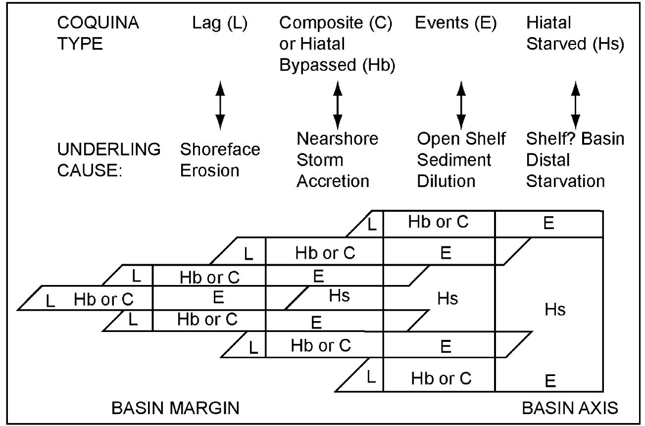 (PDF) Taphonomy — Overview of Main Concepts and Applications to ...