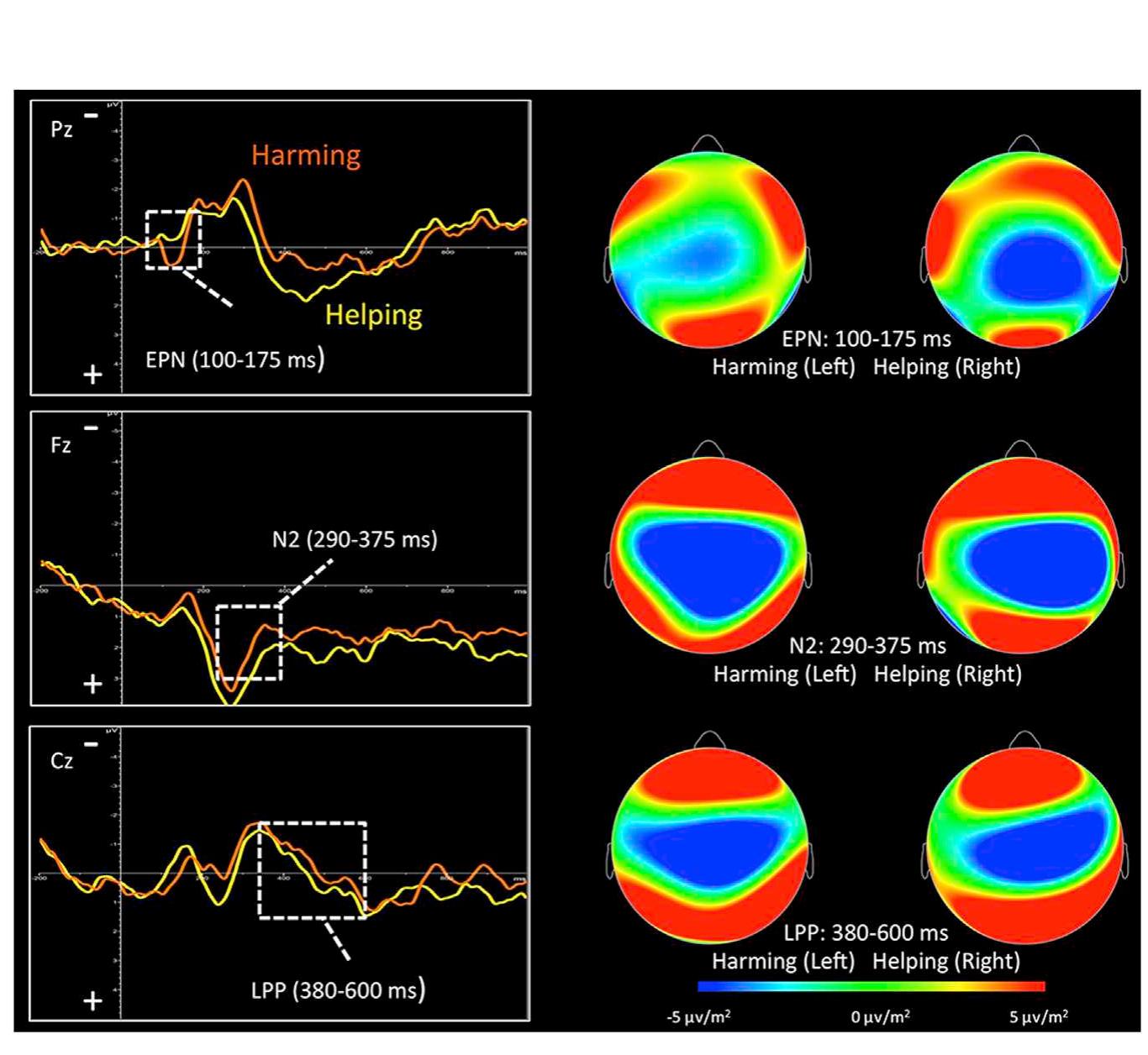 (PDF) The neuroscience of implicit moral evaluation and its relation to ...