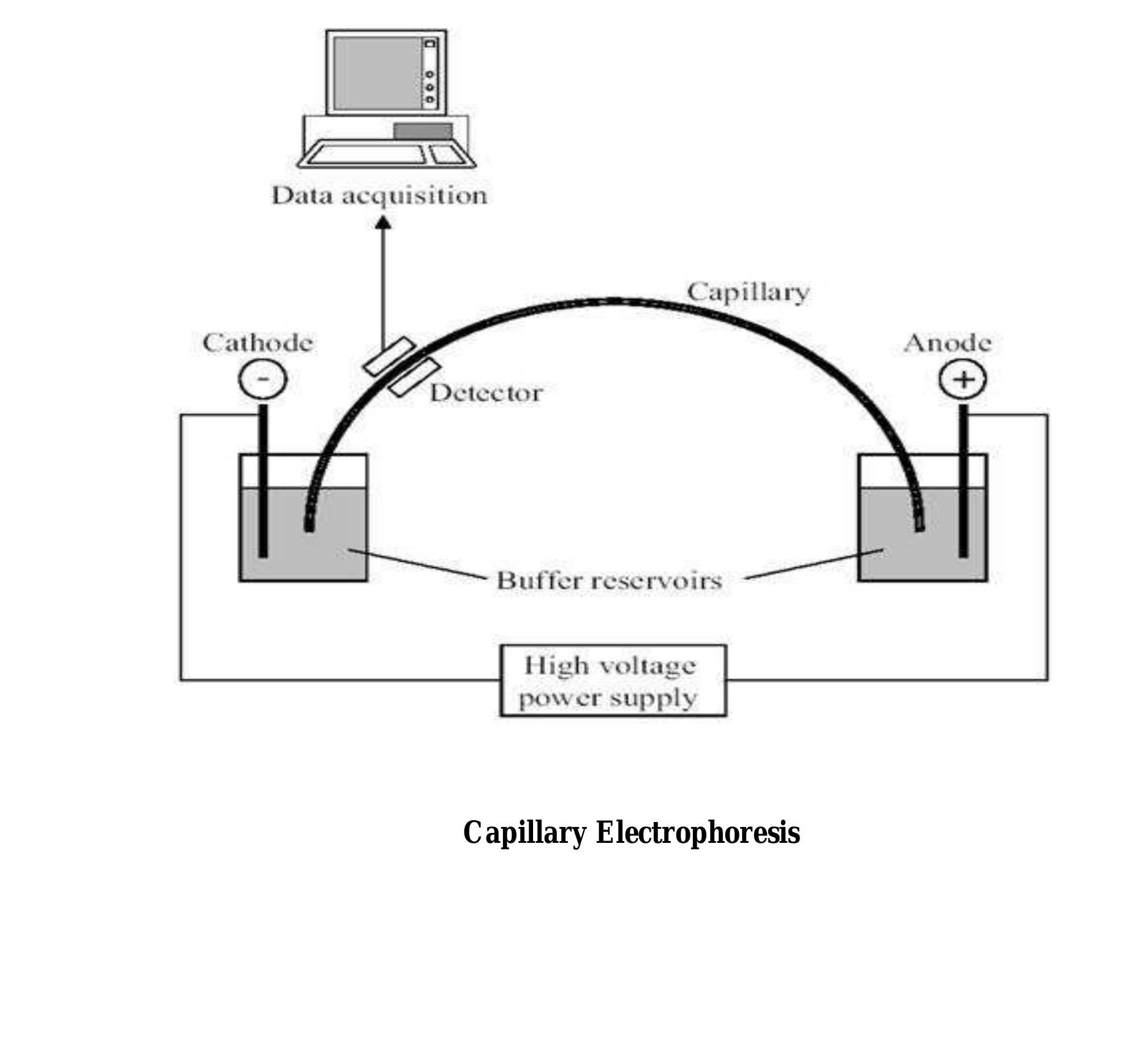 (PDF) Capillary gel electrophoresis