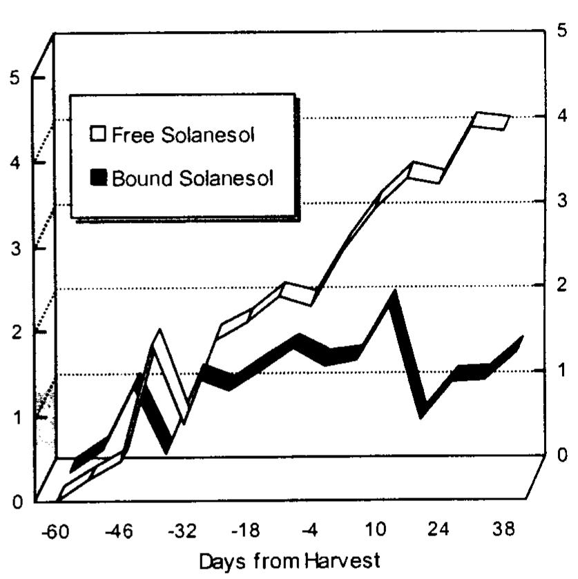 Figure 16 - from Basic Chemical Constituents of Tobacco Leaf