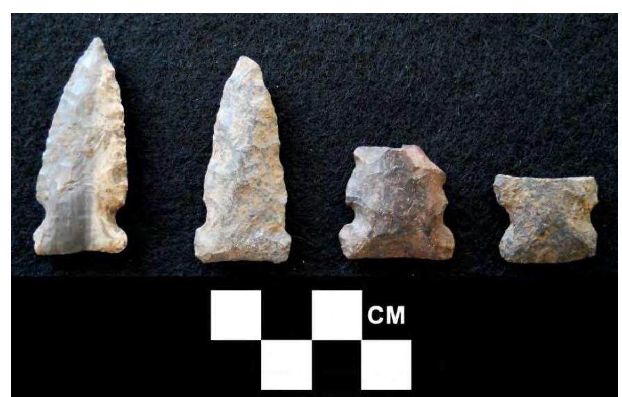 Figure 4. Large Side Notched and Brewerton Corner Notched Cluster PPKs. 