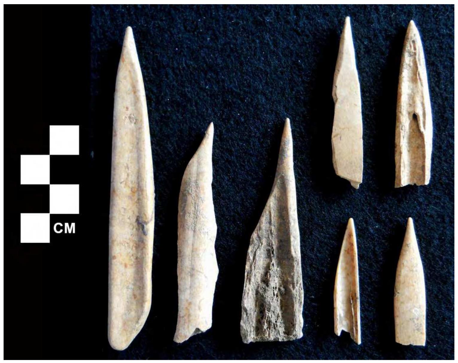 Figure 18. Various awls from 12Sp7. 