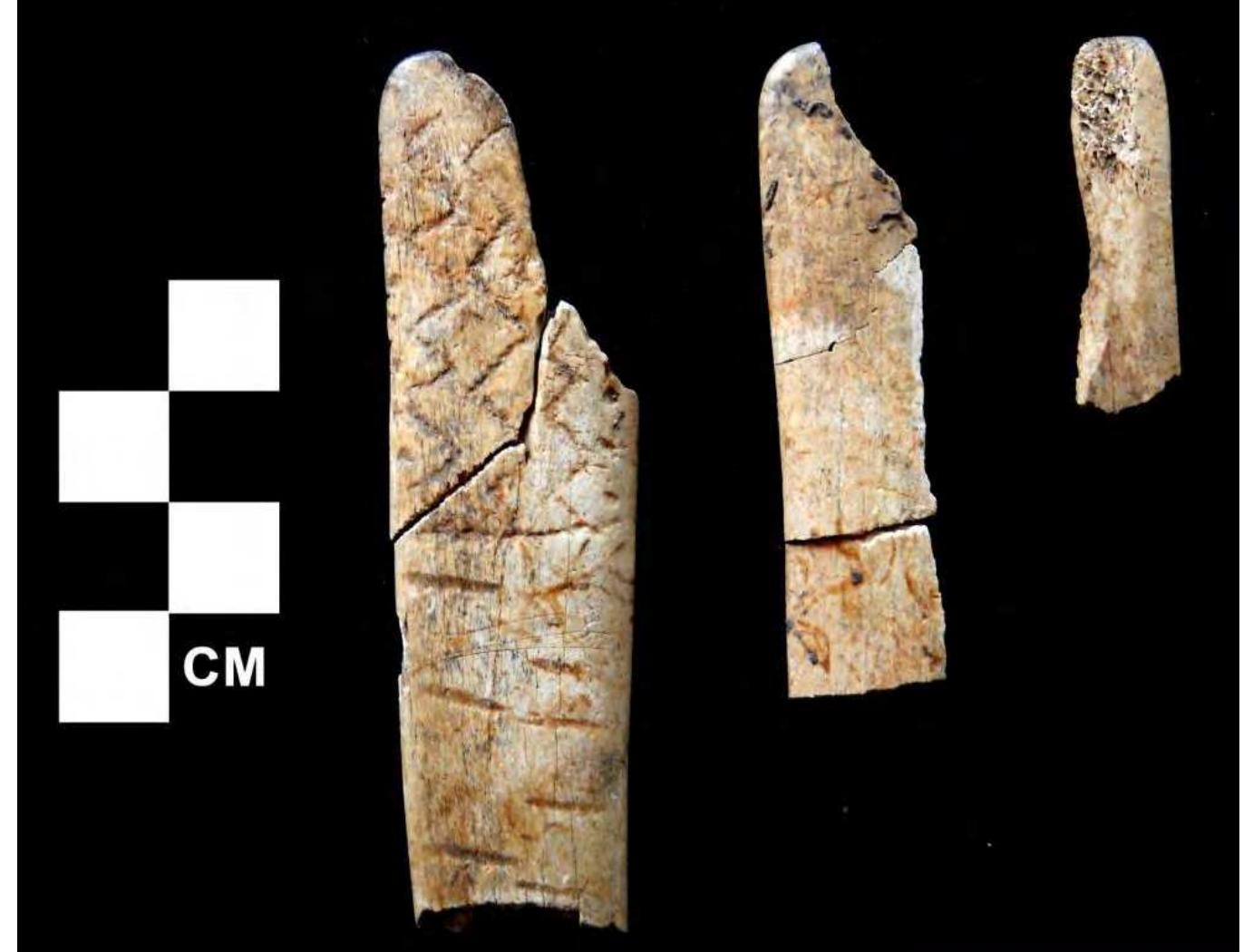 Figure 21. Spatula-shaped objects. 