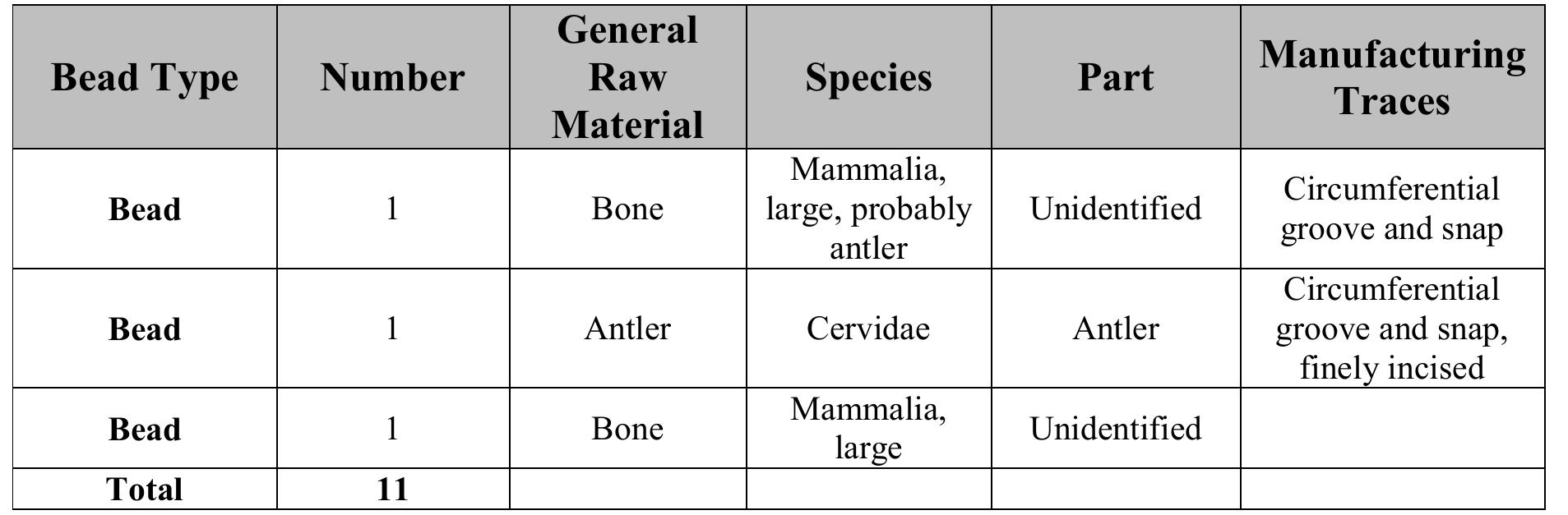 The primary means of manufacture identified in the 12Sp7 collection include circumferential groove and snap, drilling, grinding and polishing, and incising. Tube beads are easily manufactured by simply grooving the circumference of the bone until the hollow interior is reached and the groove is snapped. This technique was used on six of the beads, while drilling was used to pierce the root end of two carnivore canines. 