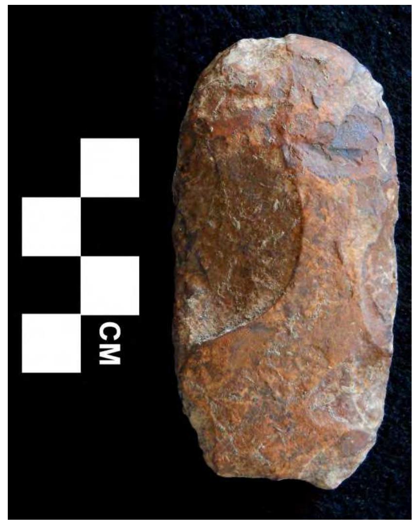 The three grooved axes (Figure 24) collected from 12Sp7 are all made from hematite, the largest measures 78.5 x 50.5 x 23.5 millimeters and the smallest measures 71.1 x 53.3 x 23.6 millimeters. The grooves are continuous around the circumference of each tool and one specimen seems to have been manufactured by a combination of flaking, pecking, and grinding. Another hematite artifact type, somewhat enigmatic, is an elongated pebble that has been flaked, pecked, and ground, or some combination thereof, into shape. A deep groove is then incised into one end (Figure 25). The largest of these measures 98.4 x 21.9 x 19.3 millimeters. 