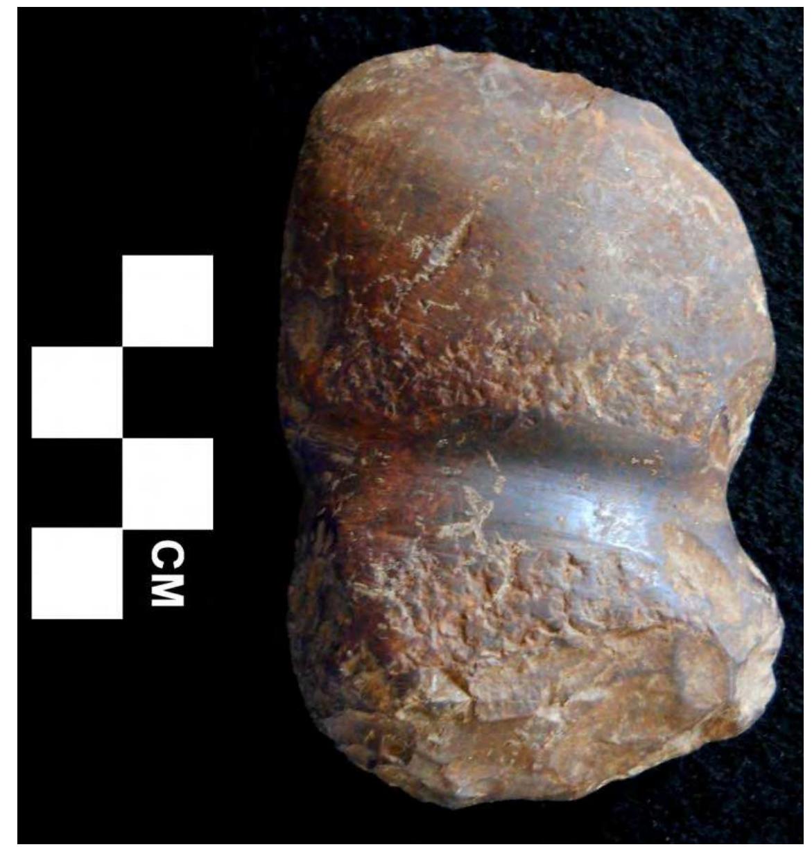 Figure 24. Full grooved hematite axe. 