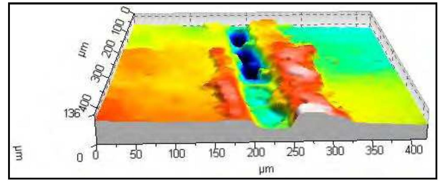 Figure 35. 3D profile of a steel knife cutmark. Notice the depth relative to width (20X). 