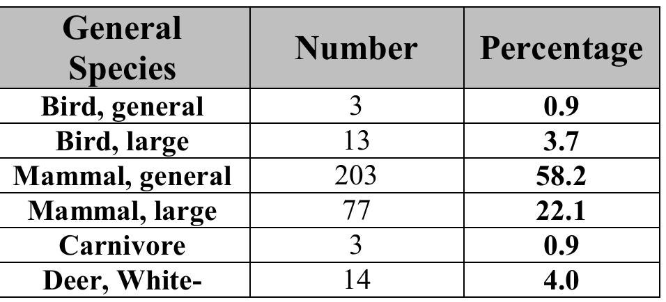 Table 13. Raw Material for Worked Bone and Antler Assemblage. 