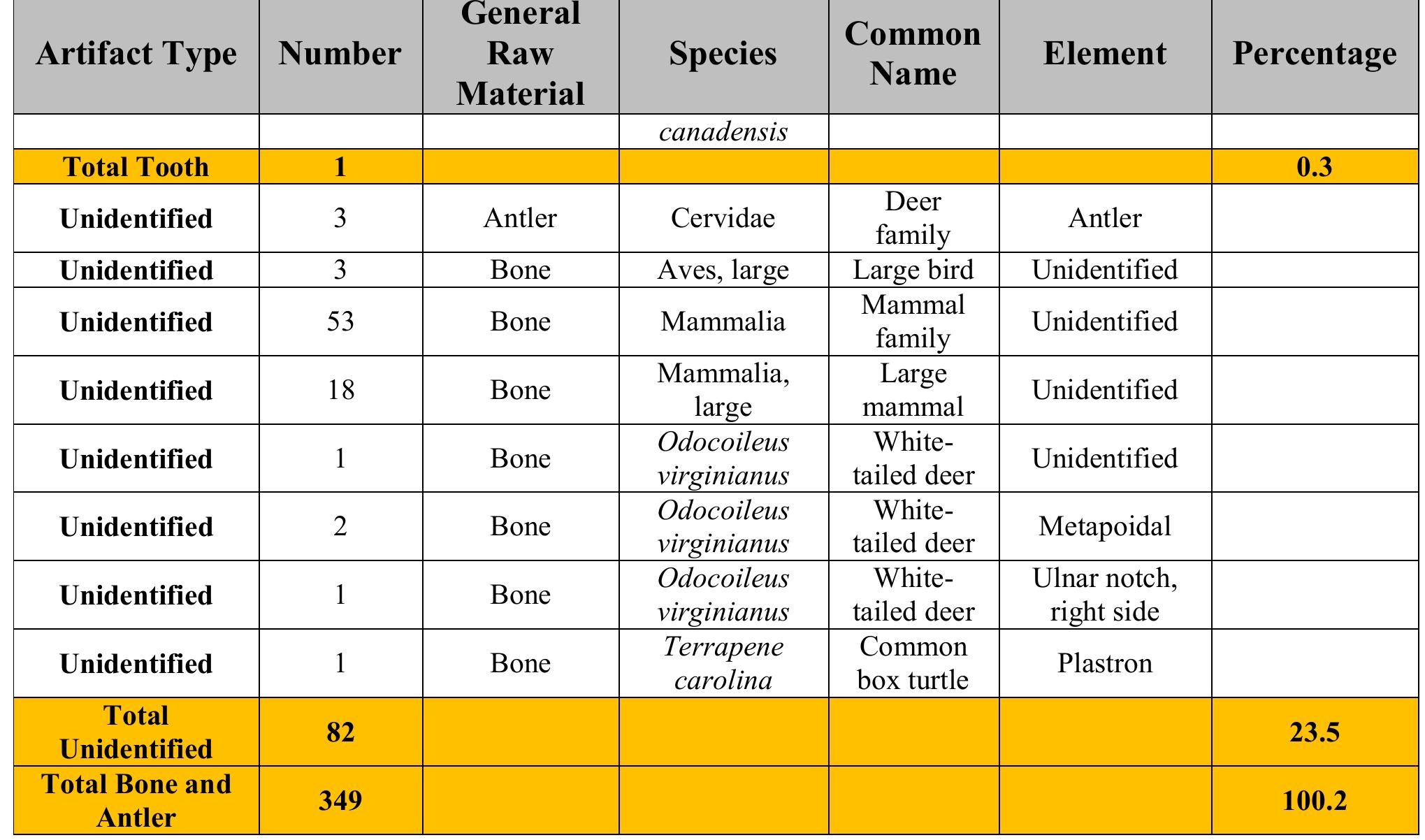 A breakdown of the animal species contributing to the worked bone and antle assemblage indicates that 58.2 percent are identified as the Mammal family, while 22.1 percen are attributed to large mammals (Table 13). The latter almost certainly includes white-tailed dee  and elk; the former was posi  ively identified on 14 specimens accounting for 4.0 percent. A  additional 7.2 percent of the worked bone and antler was identified as the family of deer or ell (Cervidae), primarily based on the identification of antler. Turtle and beaver (Castor canadensis  occur in isolated specimens, t  he latter being a tooth modified into a chisel. Large birds are als:  well-represented in the collection at 3.7 percent and long bones from turkey (Meleagri  gallopavo) are especially sui worth noting that, similar to utilize specific raw materials.  ed for expedient manufacture of awls by simple grinding. It i lithic artifacts, bone and antler tools and ornaments selectivel: As indicated in Table 12, awls are exclusively made from bone a  is all but one of the pins. The pressure flaker tips are exclusively made from antler, while th  spatulas are made from bone. 