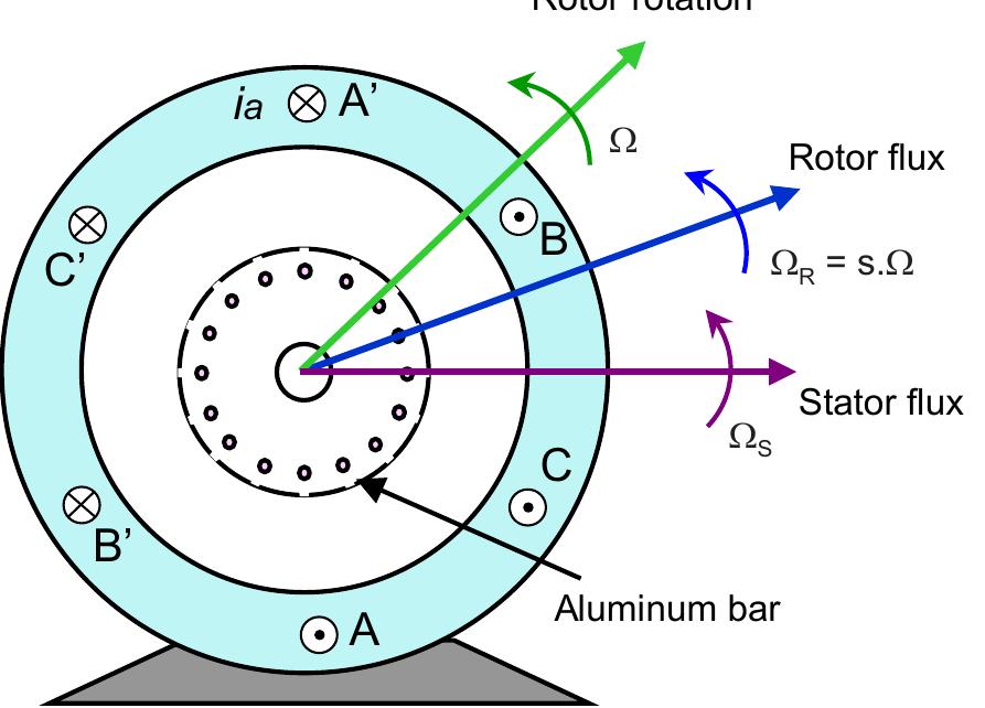 Squirrel cage rotor ac induction motor cutaway view