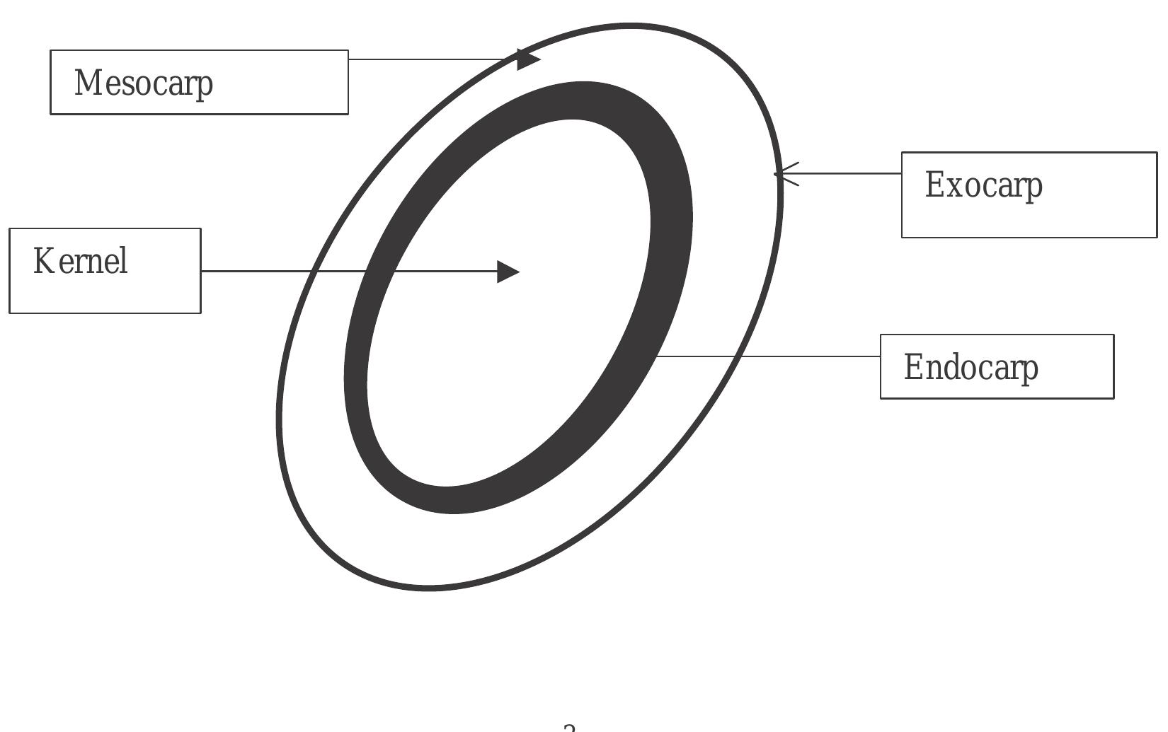 Equator Shell (PDF) Palm Oil Processing