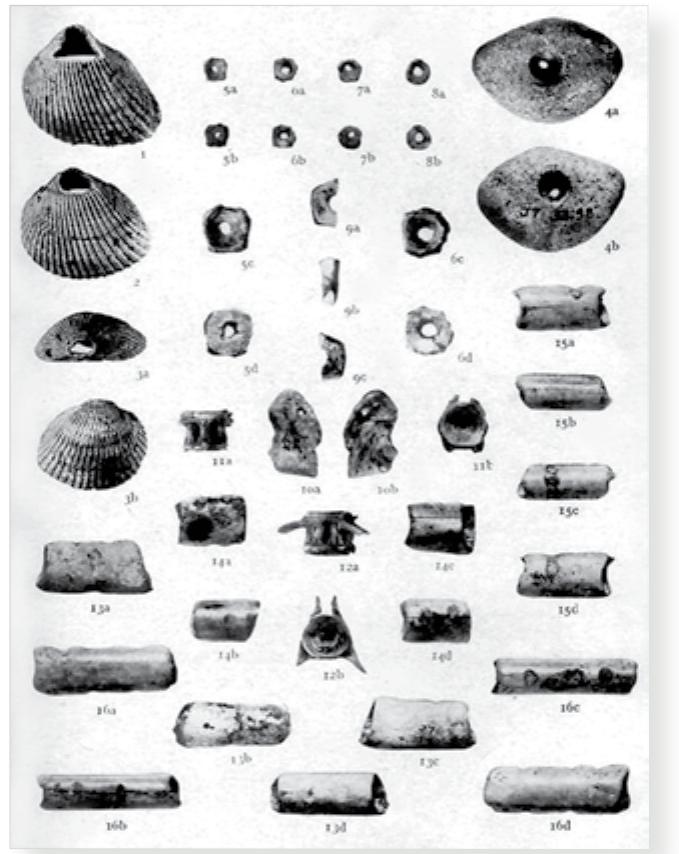 PDF) Out of Africa and the evolution of human populations in Asia
