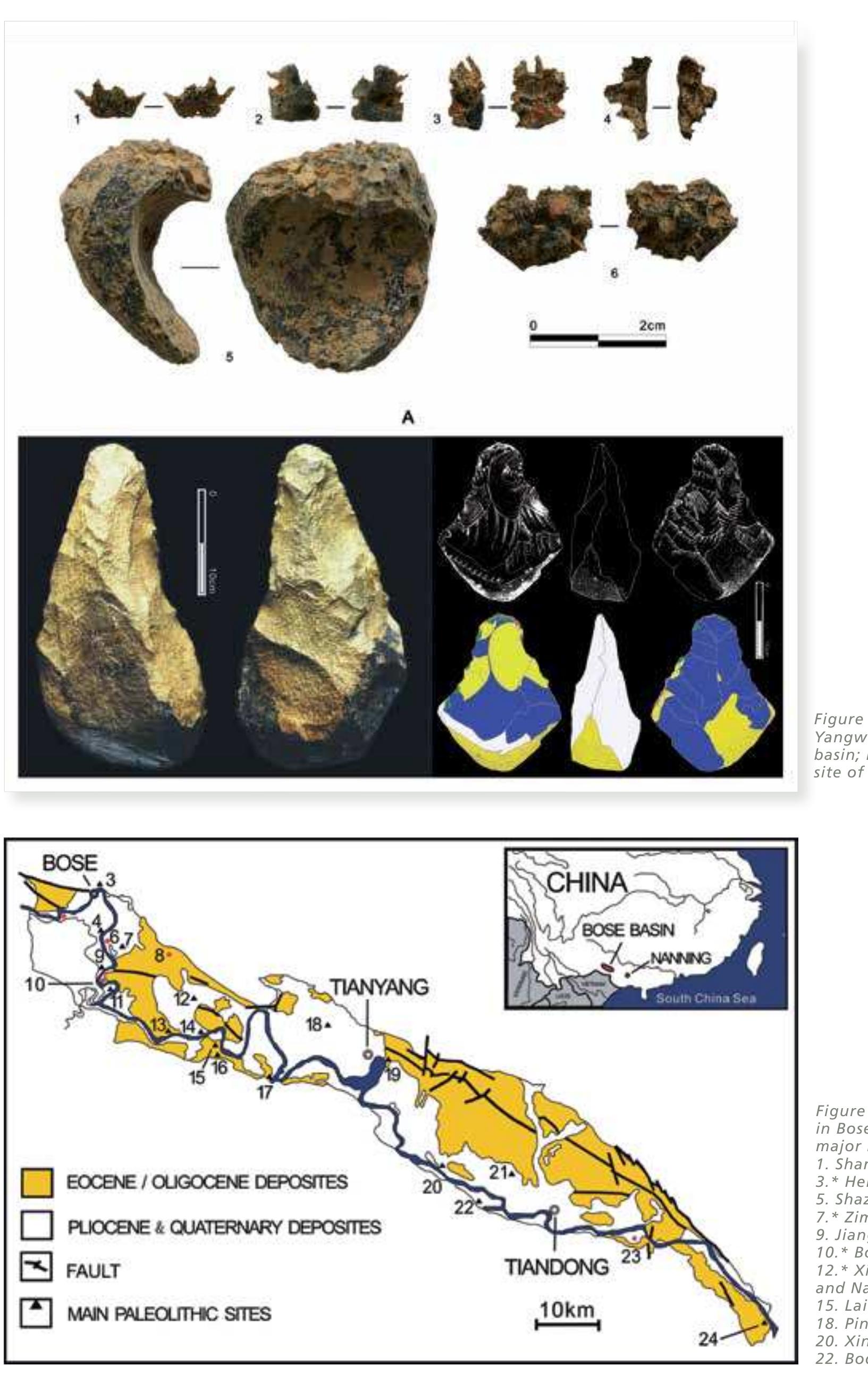 PDF) Out of Africa and the evolution of human populations in Asia